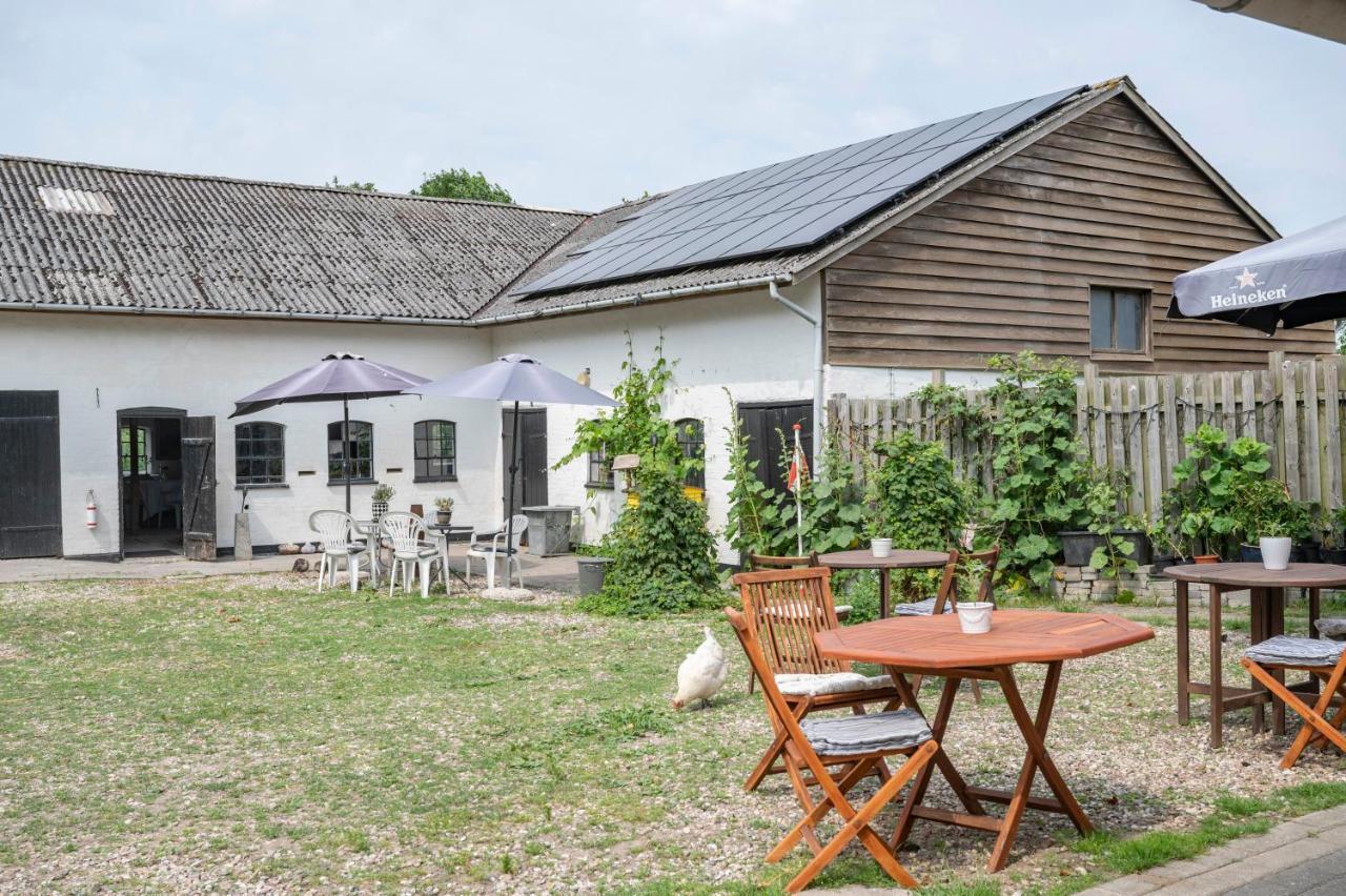 Bed and Breakfast Skortskaer Bondegardsferie Havnsø Exterior foto